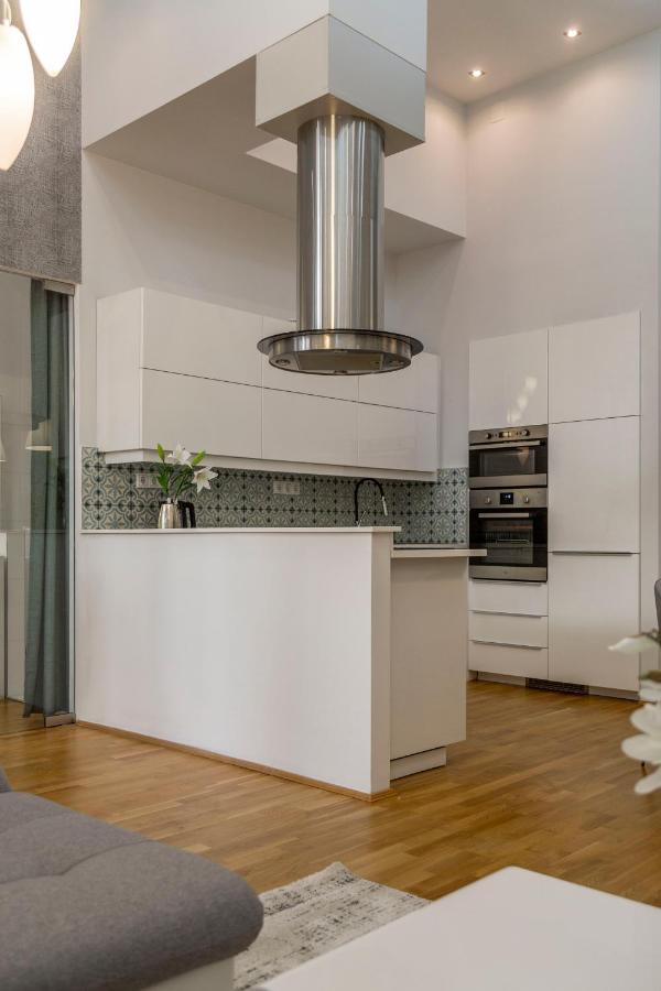 בודפשט Luxurious & Spacious Downtown Residence In Liszt Ferenc Square מראה חיצוני תמונה