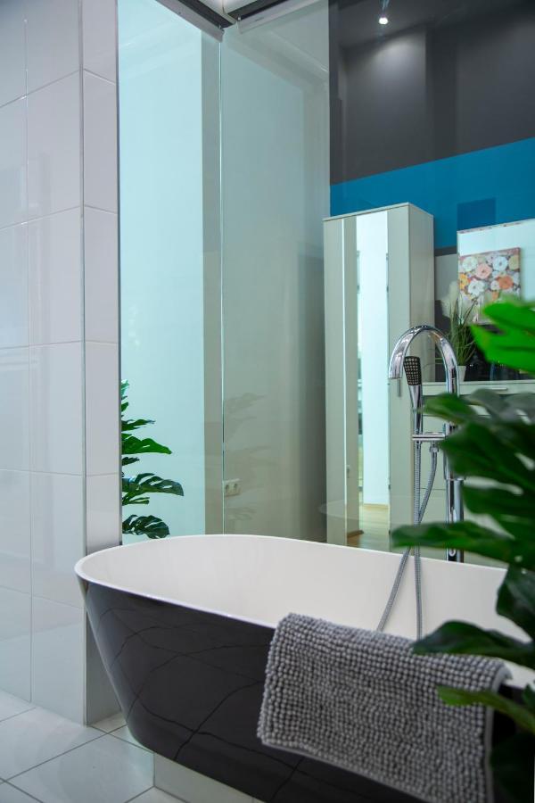 בודפשט Luxurious & Spacious Downtown Residence In Liszt Ferenc Square מראה חיצוני תמונה